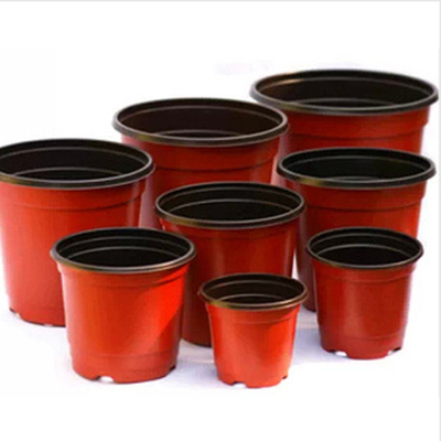 Polimer Degradable Blister Pot Bunga Plastik Kecil Untuk Tanaman