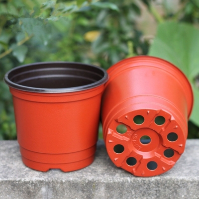 15cm Top Dia Pot Bunga Plastik Sekali Pakai Kaktus 5 Galon Planter