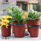Rumah Kaca Menggunakan Pot Pembibitan Bunga Plastik Kecil Dua Warna Untuk Benih