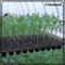 105 Lubang Rectangular Polystyrene Seed Raising Tray Baki Steker Sel Dalam 540X280mm