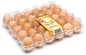 Ramah Lingkungan 30 Hitungan Egg Flats 32.5cm Plastik Blister Tray Dalam Film PET