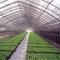 300gsm Dapat Didaur Ulang 98% Nursery Shade Net Sunblock Garden Netting Mesh