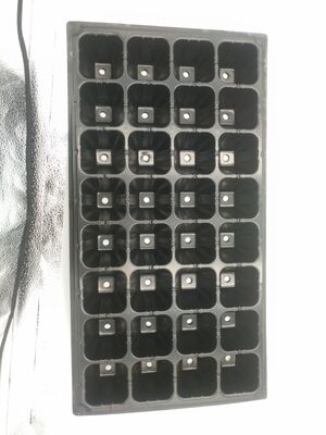 Tray pembibitan plastik bersel 32 tebal 2 mm untuk pohon hutan - tahan lama dan tahan lama