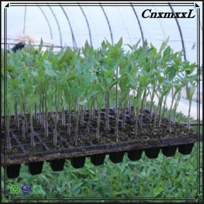 200-sel Plastik Biji Tray - 2mm tebal dan tahan penuaan untuk penggunaan pepohonan tahan lama