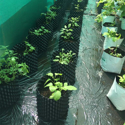 New Design Air Flower Planter Pot Pengangkatan sekali pakai Root Pot