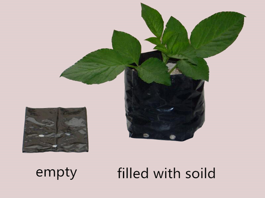 Sistem Pertanian Hidroponik Kantong Pertanian Plastik Kantong Penanaman Bunga Peony