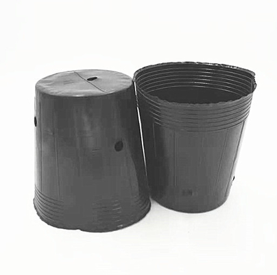 HDPE Plastic Nursery Pot Benih Bawang Menumbuhkan Pot Hitam Untuk Rumah Kaca