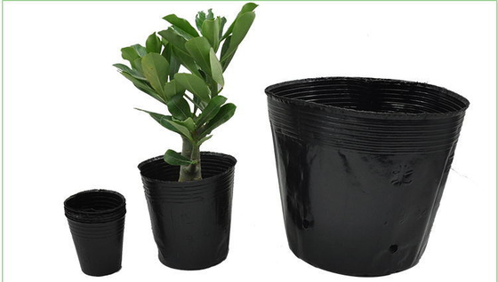 Pot Tanaman Plastik Lembut Hidroponik Watercress Pot Berat Ringan