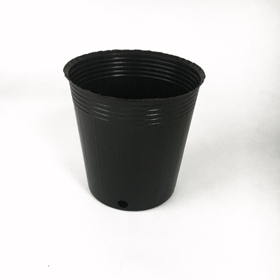 Warna Hitam Besar Botol Bunga Plastik Taman Tahan Penuaan