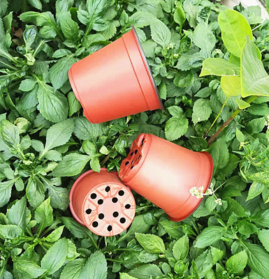 Pot Bunga Berwarna Dua Kali Untuk Rumah Kaca Dan Taman