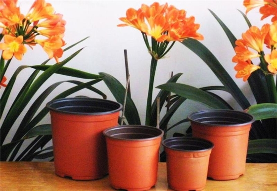 Panas Jual Kotak Bulat Soft Hydroponic segar pot bunga tahan penuaan