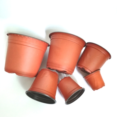 Pot Biji Plastik Berwarna Dua Untuk Bunga / Tumbuhan Hijau