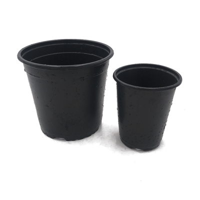 Cahaya Dan Lembut Hitam Warna Dua Pot Bunga Plastik Chive Shoot Seedling Nutrisi Pot