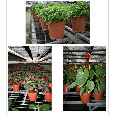 Cahaya Dan Lembut Hitam Warna Dua Pot Bunga Plastik Chive Shoot Seedling Nutrisi Pot