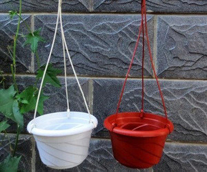 Plastik Hook Menggantung Pot Bunga Di Dinding Di Kamar Tidak Ditutupi