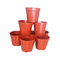 Red Hard PE Coated Round 1 Galon Nursery Pots Dengan Baki Plastik
