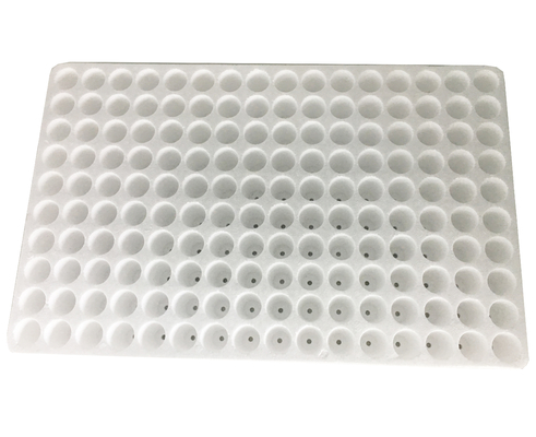 50 120 160 200 rongga Material busa EPS terapung Tray benih EPS 160 lubang Tray benih