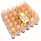 9 pcs Stackable Plastic Egg Holder 152mm Square Incubator Egg Setting Tray
