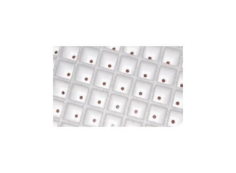 120 Floating Seedling Tray Flue Tobacco Cured EPS EPP Foam Hole Hydroponic