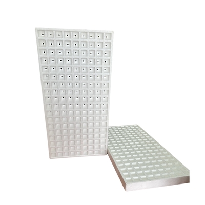 Tray pembibitan busa EPS ramah lingkungan digantung 120 lubang 160 lubang 200 lubang
