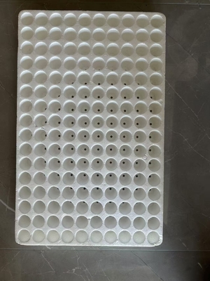 Tray bibit busa Tray bibit sayur Tray hidroponik Tray bibit bibit putih bibit bibit bubuk grosir floating foam board penanaman air tray bibit buah dan sayuran mengental lada