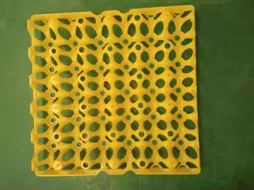 Warna Kuning Plastik Blister Termoformed Vacuum Plate Pengemasan Telur Transportasi 30 Pengemasan Telur