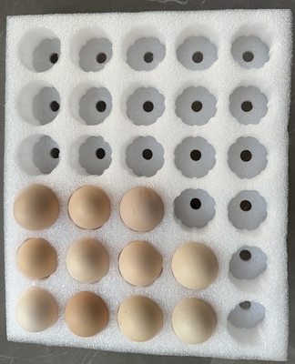 EPE Telur Tray Produk rapuh Permata Perhiasan Perlindungan Custom