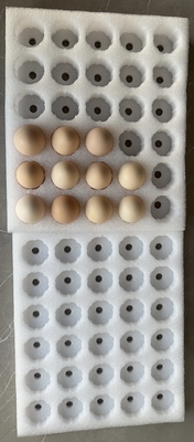 EPE Telur Tray Produk rapuh Permata Perhiasan Perlindungan Custom