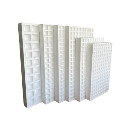 EPS bibit tray multi-fungsi busa bibit tray kustomisasi