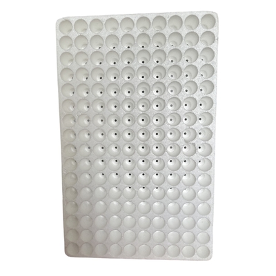 160 lubang bulat EPS bibit tray busa bibit tray tanaman bibit penanaman tray