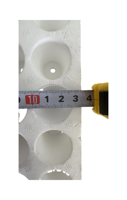 160 lubang bulat lubang busa bibit tray EPS bibit tray kustomisasi