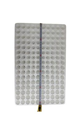 160 lubang bulat lubang busa bibit tray EPS bibit tray kustomisasi