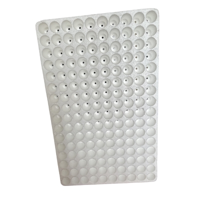 160 lubang bulat lubang busa bibit tray EPS bibit tray kustomisasi