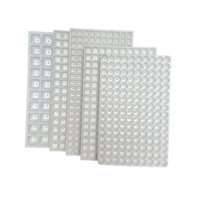 Waterproof EPS Foam Seedling Tray Suspended Foam Seedling Tray Disesuaikan