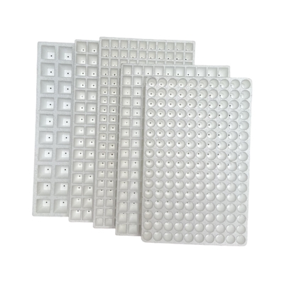 EPS Foam Seedling Tray Disesuaikan Untuk Semaian Semangka Sayuran Dan Buah