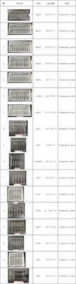 Tray Ampul PET yang disesuaikan 1ml~10ml Tray Injeksi Air Ampul PET