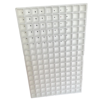 Tray bibit busa EPS disesuaikan untuk sayuran, buah, bunga dan bibit tembakau.
