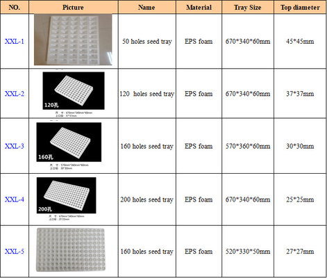 EPS Foam Seedling Tray Disesuaikan 50 Points 120 Points 160 Points 200 Points
