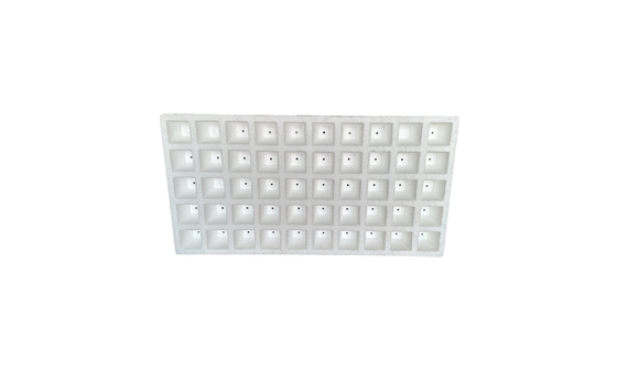 EPS Foam Seedling Tray 50 Points 120 Points 160 Points 200 Points Customized Wholesale of Fruits Sayuran Dan Bunga