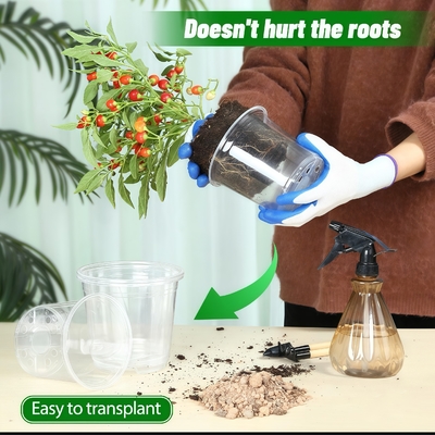 Botol bunga Phalaenopsis transparan Botol anggrek transparan