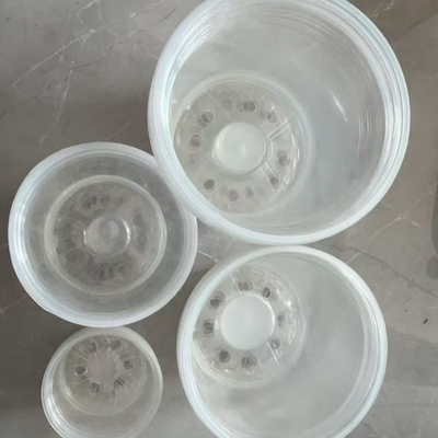 Botol Bunga Phalaenopsis Transparan Dengan Finishing yang Tidak Dilapisi