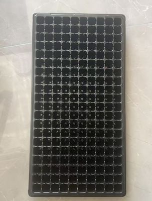50 sel Black Plastic Seedling Tray 2mm tebal untuk hutan pohon dan tanaman nursery
