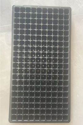50 sel Black Plastic Seedling Tray 2mm tebal untuk hutan pohon dan tanaman nursery