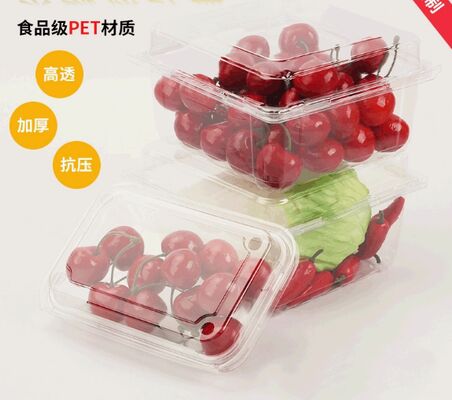 Customized Recyclable PET Tomato Packaging Box with Heat Sealing for Perfect Protection