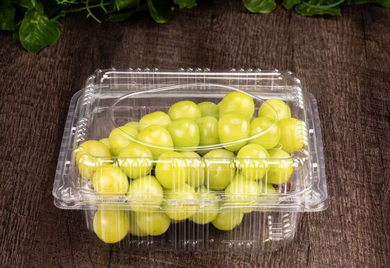 Customized Design Recyclable PET Food Packaging Box with Heat Sealing for Fruits and Vegetables