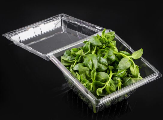 Customized Design Recyclable PET Packaging Box with Heat Sealing for Fresh Vegetables and Fruits