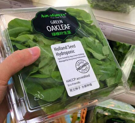 Desain yang disesuaikan Daur Ulang PET Kotak Buah Transparan dengan Penutup Panas untuk Pengemasan Anggur dan Tomat