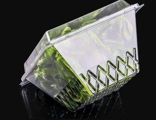 Customized Design Recyclable PET Packaging Box with Heat Sealing for Fresh Vegetables and Fruits