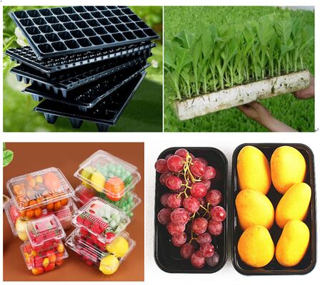 Customized Design Recyclable PET Heat Sealing Fruit Packaging Box and Tomato Plastic Blister Packaging