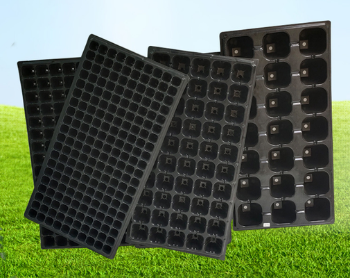 Tray bibit bibit starter tray bibit starter tray